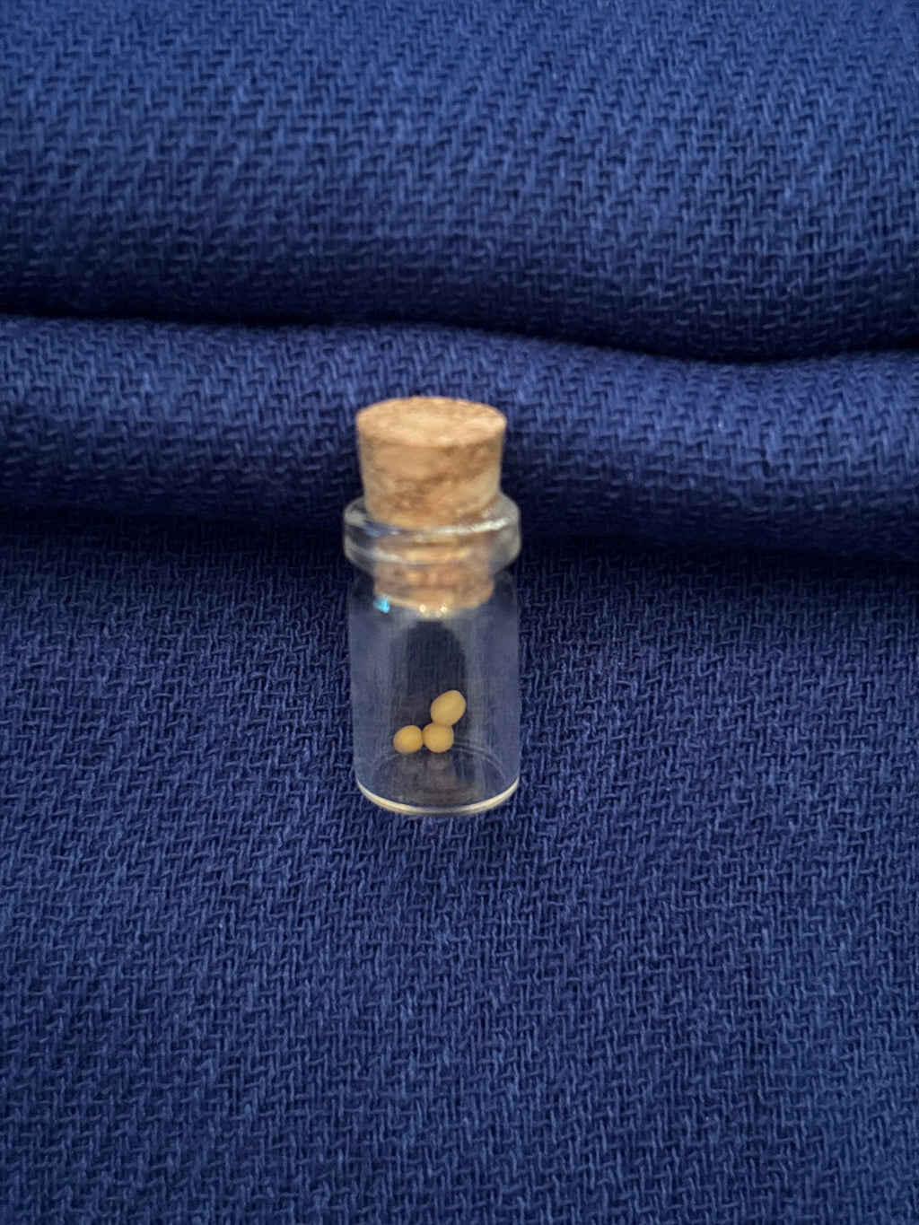 Earrings, Sterling silver, mustard seed. On the 7th day. Just text shape. I will customize your special piece.