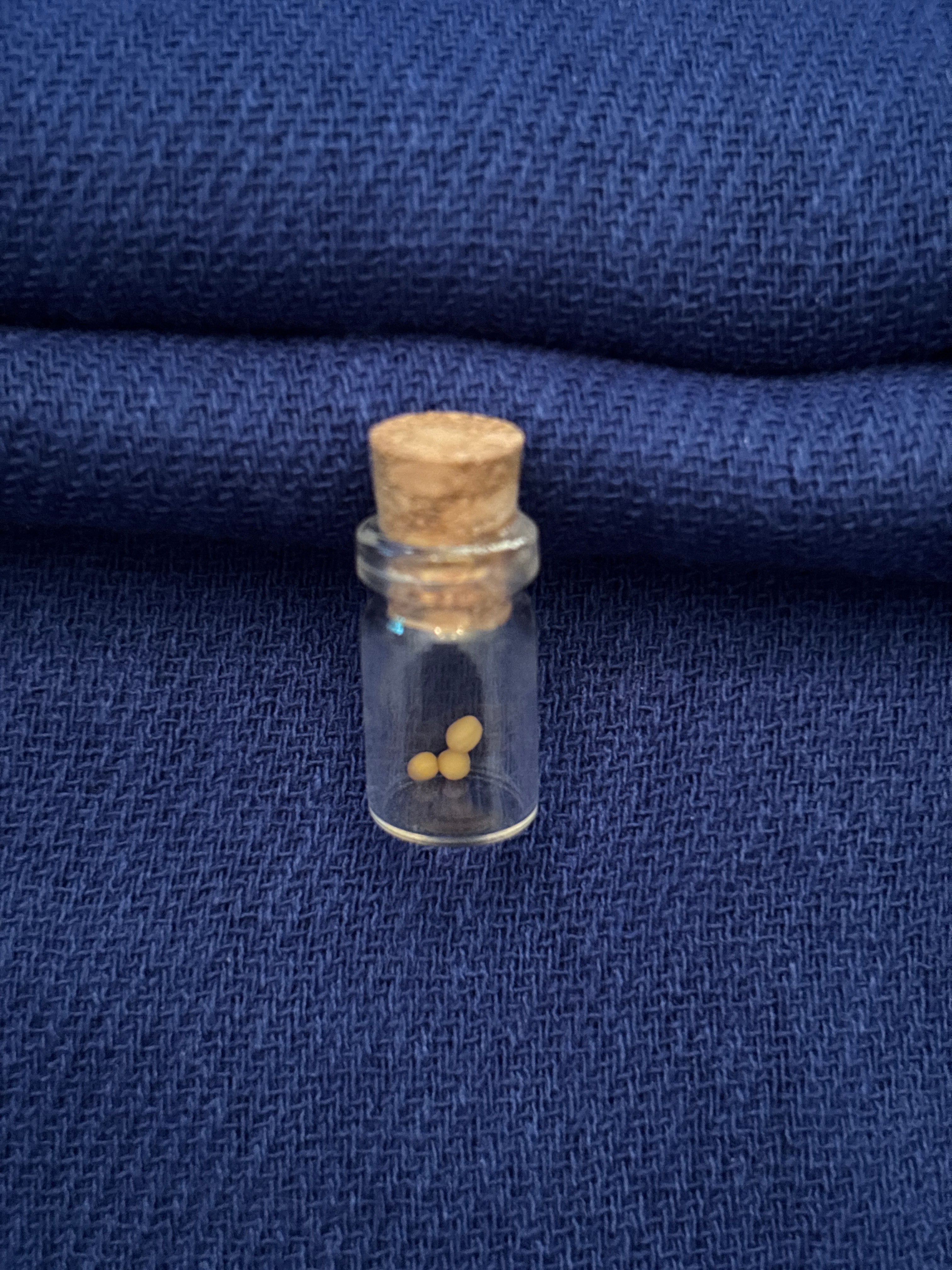 Earrings, Sterling silver, mustard seed. On the 7th day. Just text shape. I will customize your special piece.